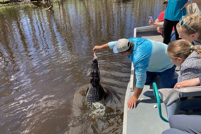 Small Airboat and Oak Alley Plantation Tour from New Orleans - Riding the swamp on a small airboat: speed, inlets, and gators