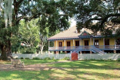 Small-Group Laura and Whitney Plantation Tour from New Orleans - Evergreen Plantation: the quick oak-lined photo moment that refreshes the day