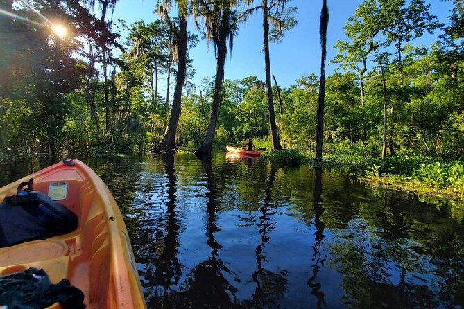 Small-Group Manchac Swamp Kayak Tour - The on-water part: Manchac and Maurepas Swamps, cypress banks, and shallow channels