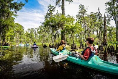 Small-Group Manchac Swamp Kayak Tour with Local Guide - Getting There: New Orleans Pickup and the Drive to the Launch