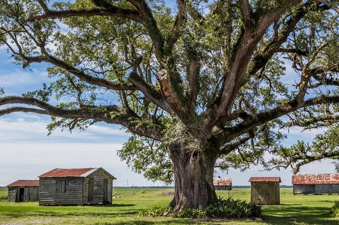 St. Joseph and Felicity Plantation Combo Tour - How the tour handles slavery and the sugar economy with care