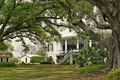 St. Joseph and Felicity Plantation Combo Tour - St. Joseph Plantation: houses, outbuildings, and sugarcane context