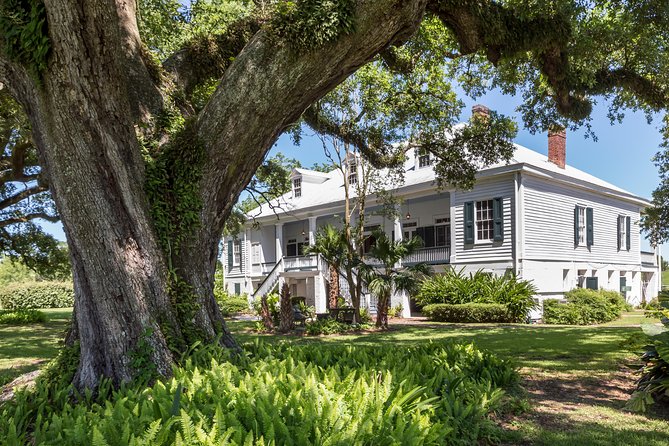 St. Joseph Plantation Tour - Key things that make this tour worth your time