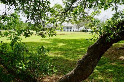 St. Joseph Plantation Tour - Why the working farm angle changes the whole experience