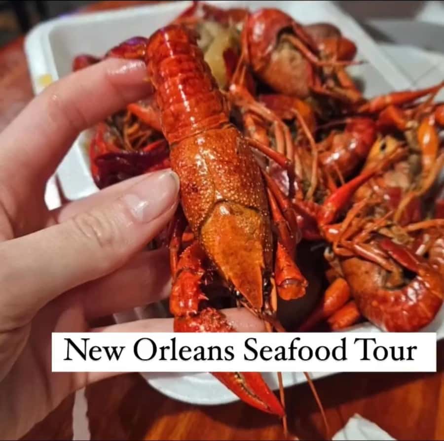 Treme Bar Crawl & Seafood Experience - The bar-and-seafood route: what you actually do during your hour