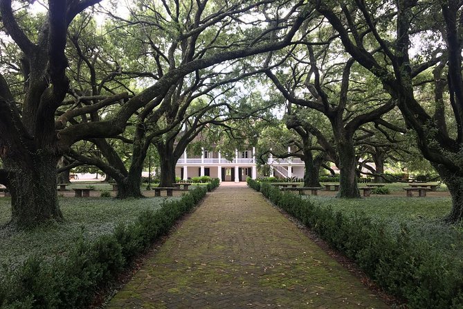 Two Plantation Tour: Oak Alley and Laura or Whitney - Destrehan Plantation and the 1811 German Coast slave revolt