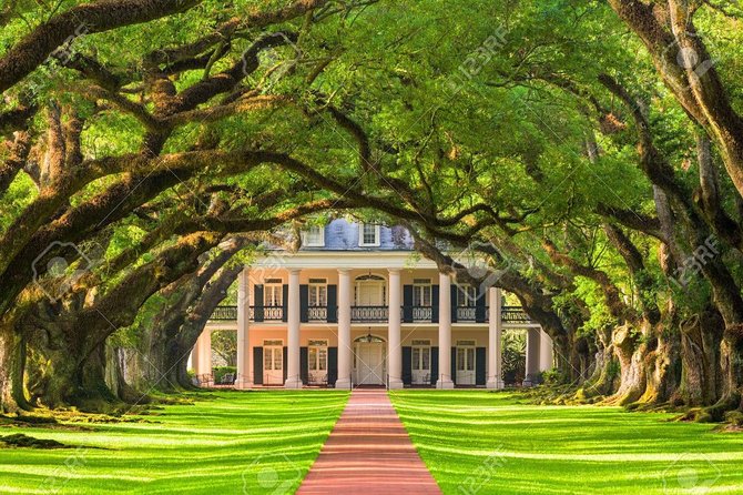 Two Plantation Tour: Oak Alley and Laura or Whitney - The drive begins at Evergreen: Django Unchained and Queen Sugar locations