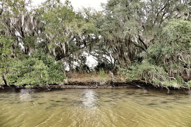 Ultimate Swamp Tour Experience with Transportation from New Orleans - Cajun culture and Jean Lafitte stories: why the guide matters