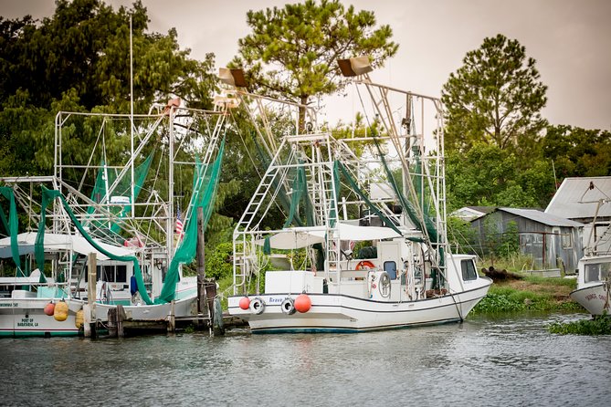 Ultimate Swamp Tour Experience with Transportation from New Orleans - Price and value: what you’re actually paying for